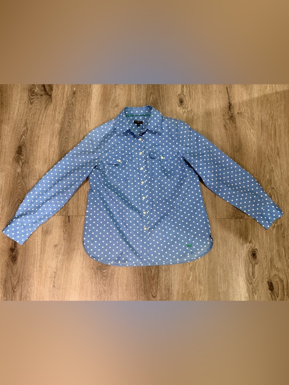 Talbots Blue Polka Dot Button-Up Shirt